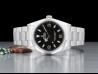 劳力士 (Rolex) Explorer 36 Black Dial - Rolex Service Guarantee 114270 